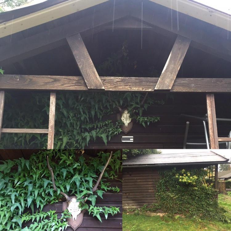 הוילה Ferienhaus בראונפלס מראה חיצוני תמונה