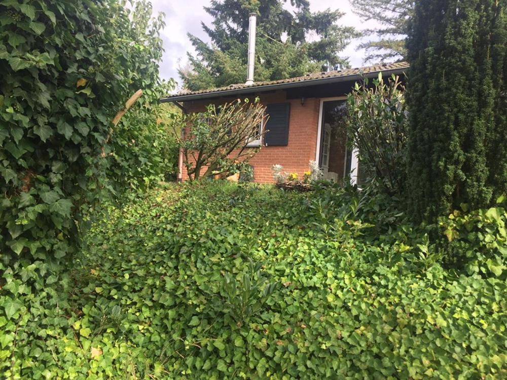 הוילה Ferienhaus בראונפלס מראה חיצוני תמונה